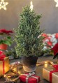 big_Choinka-sztuczna-DSC05970.jpg