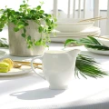 big_BOSTON-GOLD-mlecznik-porcelanowy.webp