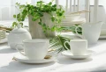 big_BOSTON-GOLD-porcelana-do-kawy-herbaty.webp